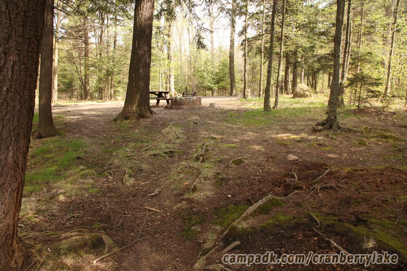 Campsite Photo of Site 45 at Cranberry Lake Campground, New York - Returning Along Pathway from Water