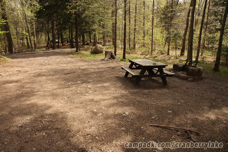 Campsite Photo of Site 45 at Cranberry Lake Campground, New York - Looking Back Towards Road