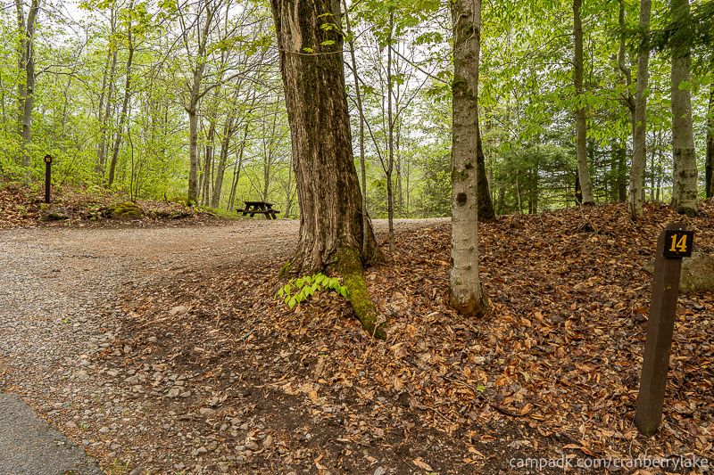Campsite Photo of Site 14 at Cranberry Lake Campground, New York - Looking at Site from Road Sign Visible