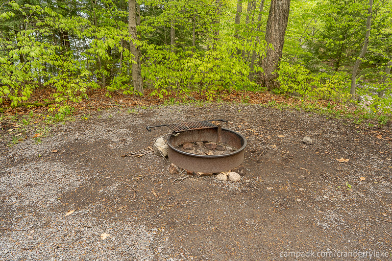 Campsite Photo of Site 14 at Cranberry Lake Campground, New York - Fireplace View