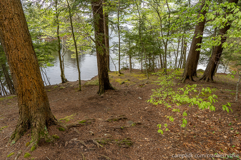 Campsite Photo of Site 14 at Cranberry Lake Campground, New York - Pathway Down to Water