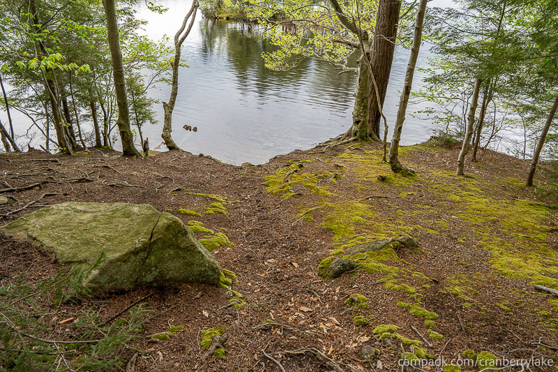 Campsite Photo of Site 14 at Cranberry Lake Campground, New York - Pathway Down to Water