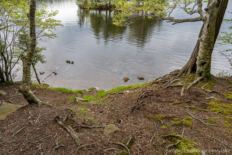 Campsite Photo of Site 14 at Cranberry Lake Campground, New York - Pathway Down to Water