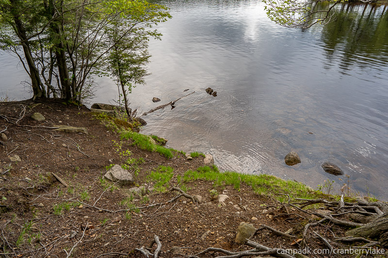 Campsite Photo of Site 14 at Cranberry Lake Campground, New York - Shoreline