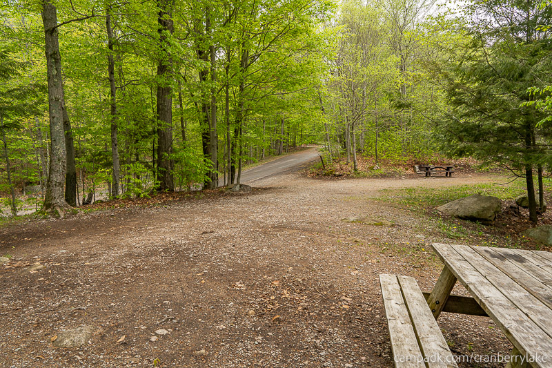 Campsite Photo of Site 14 at Cranberry Lake Campground, New York - Looking Back Towards Road