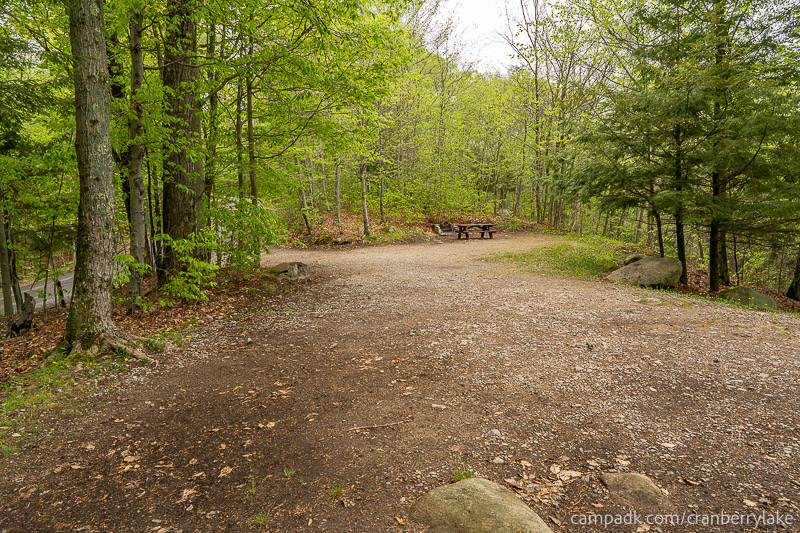 Campsite Photo of Site 14 at Cranberry Lake Campground, New York - Looking Back Towards Road