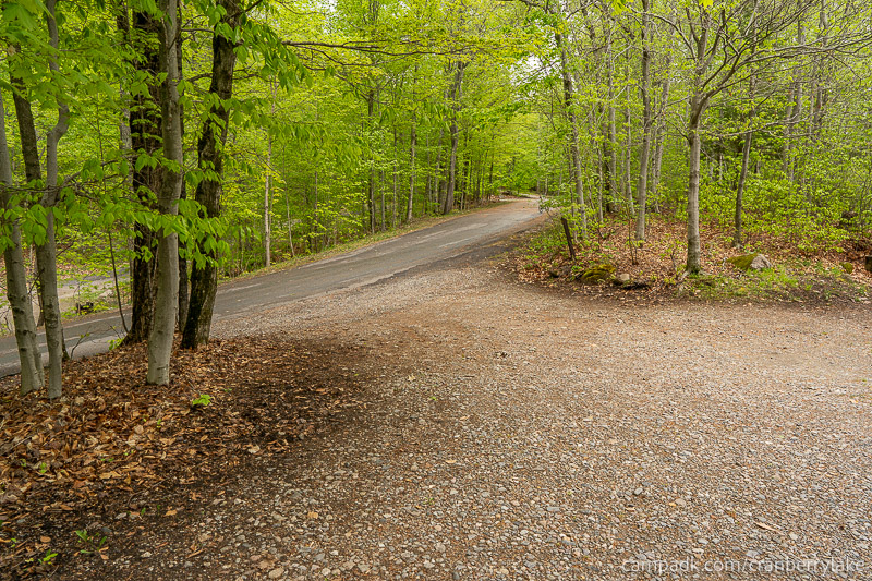 Campsite Photo of Site 14 at Cranberry Lake Campground, New York - Looking Back Towards Road
