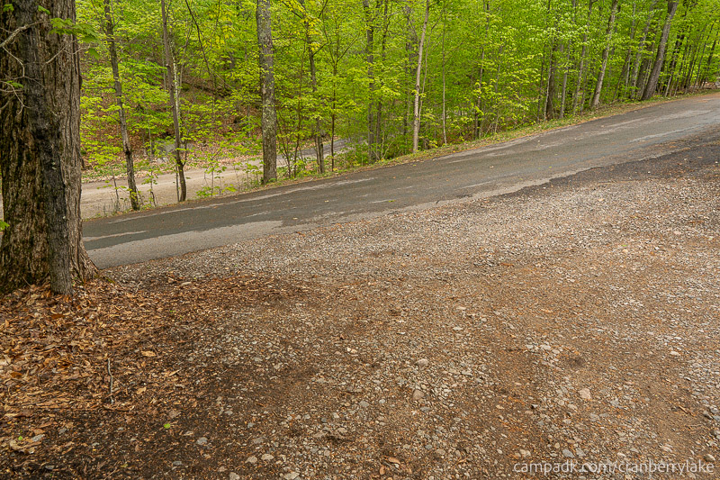 Campsite Photo of Site 14 at Cranberry Lake Campground, New York - Looking Back Towards Road