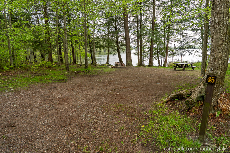 Campsite Photo of Site 45 at Cranberry Lake Campground, New York - Looking at Site from Road Sign Visible