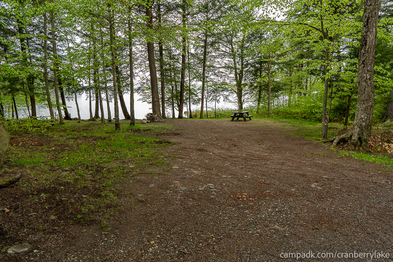 Campsite Photo of Site 45 at Cranberry Lake Campground, New York - Looking at Site from Road