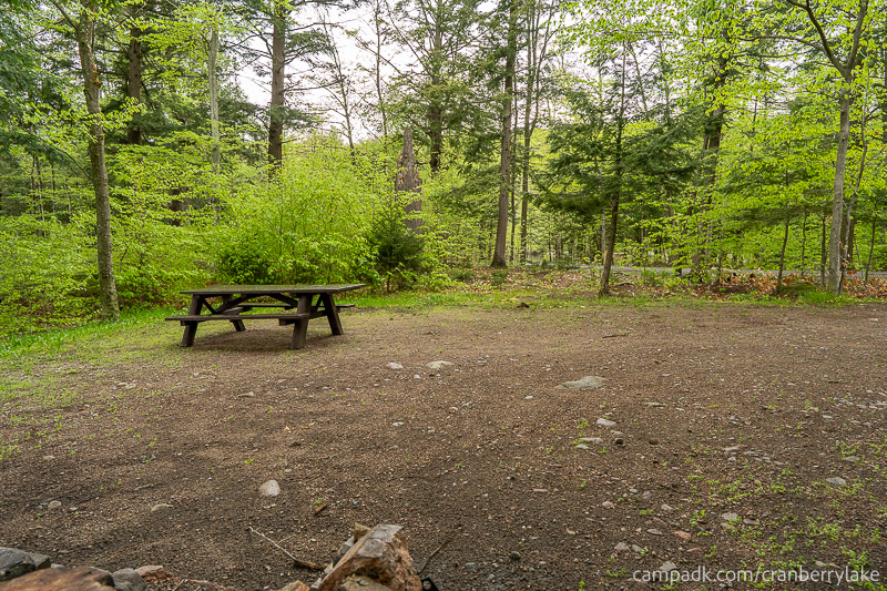 Campsite Photo of Site 45 at Cranberry Lake Campground, New York - Cross Site View