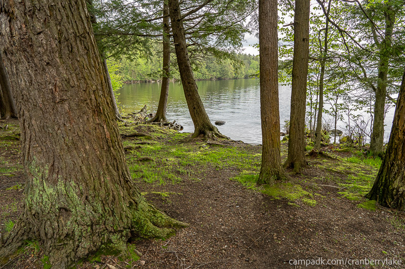 Campsite Photo of Site 45 at Cranberry Lake Campground, New York - Pathway Down to Water