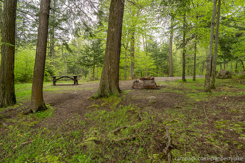 Campsite Photo of Site 45 at Cranberry Lake Campground, New York - Returning Along Pathway from Water