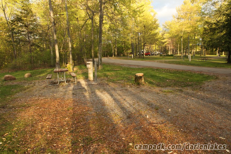 Campsite Photo of Site 30 at Darien Lakes State Park, New York - Cross Site View