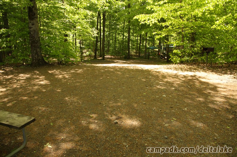 Campsite Photo of Site 92 at Delta Lake State Park, New York - Looking Back Towards Road