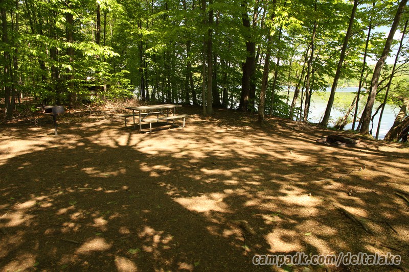 Campsite Photo of Site 10 at Delta Lake State Park, New York - Cross Site View