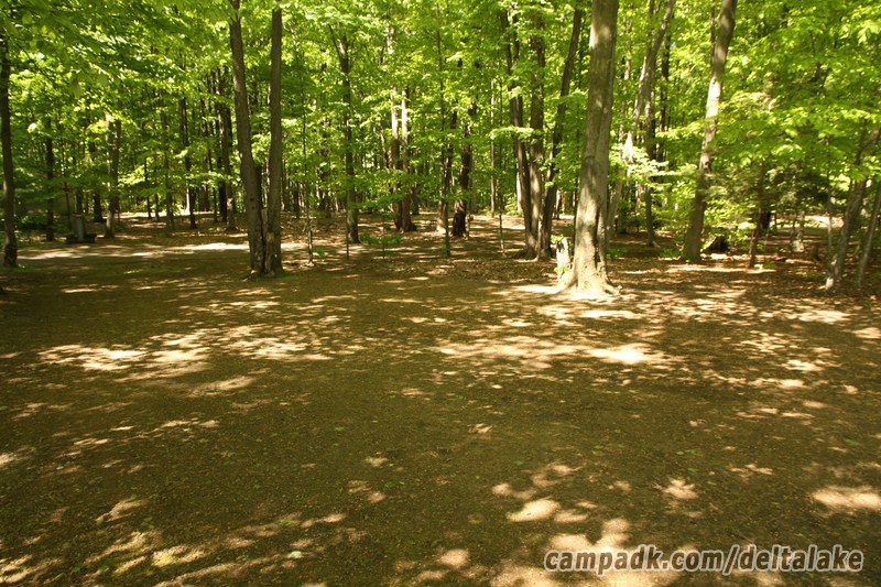 Campsite Photo of Site 10 at Delta Lake State Park, New York - Cross Site View