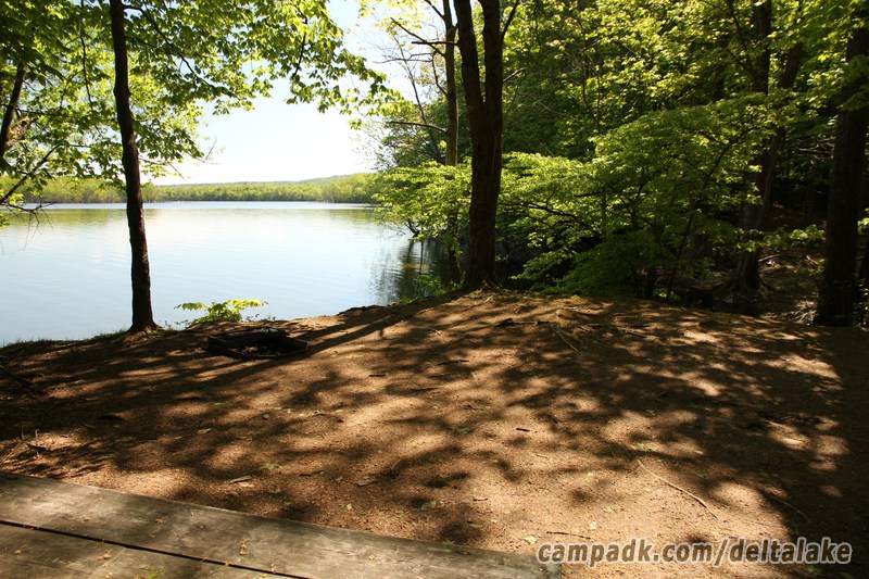 Campsite Photo of Site 10 at Delta Lake State Park, New York - Cross Site View
