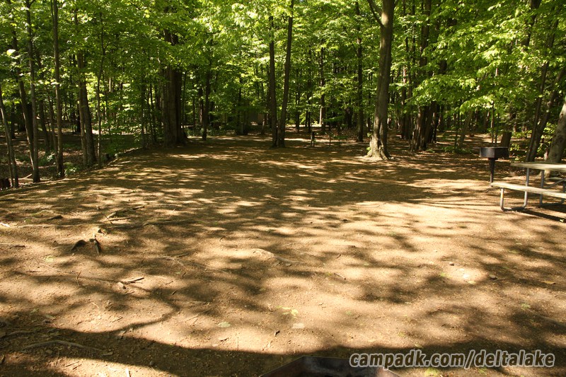Campsite Photo of Site 10 at Delta Lake State Park, New York - Looking Back Towards Road