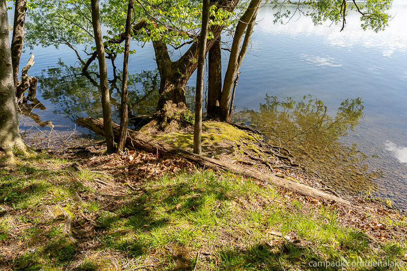 Campsite Photo of Site 10 at Delta Lake State Park, New York - Shoreline