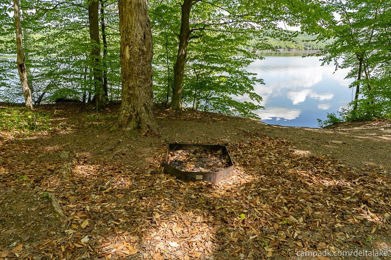 Campsite Photo of Site 92 at Delta Lake State Park, New York - Fireplace View
