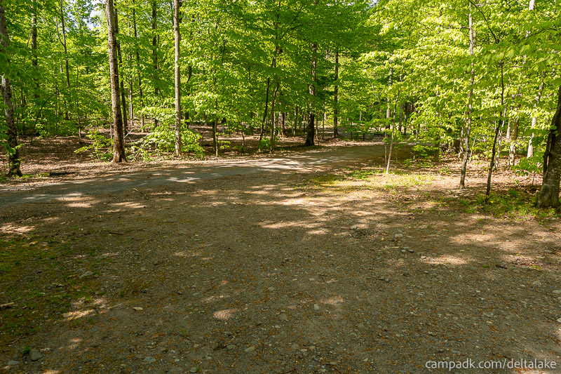 Campsite Photo of Site 92 at Delta Lake State Park, New York - Looking Back Towards Road