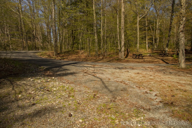 Campsite Photo of Site 7 at Eagle Point Campground, New York - Looking Back Towards Road