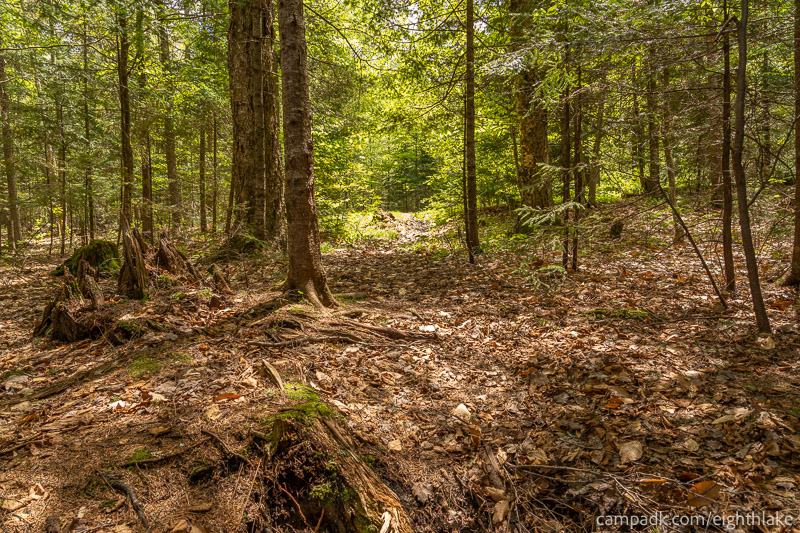 Campsite Photo of Site 25 at Eighth Lake Campground, New York - Returning Along Pathway from Water