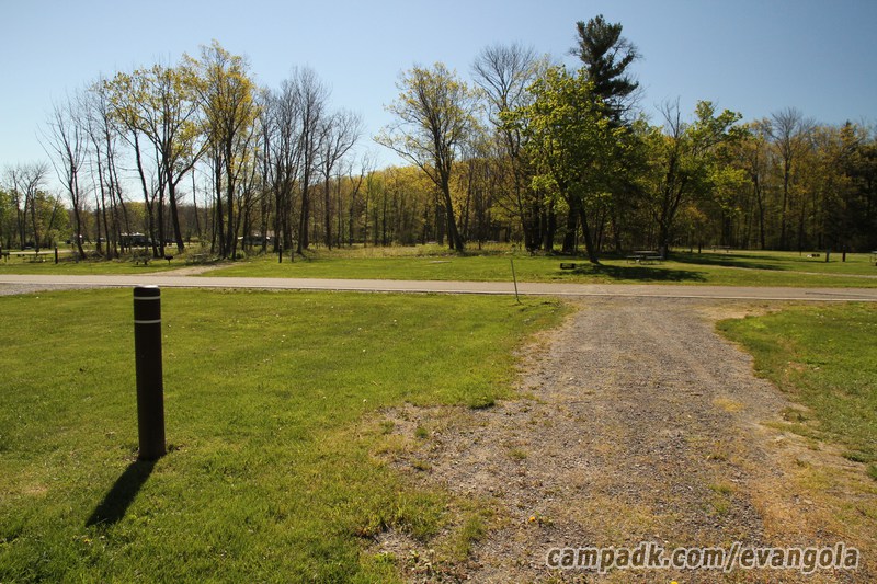Campsite Photo of Site 37 at Evangola State Park, New York - Looking Back Towards Road