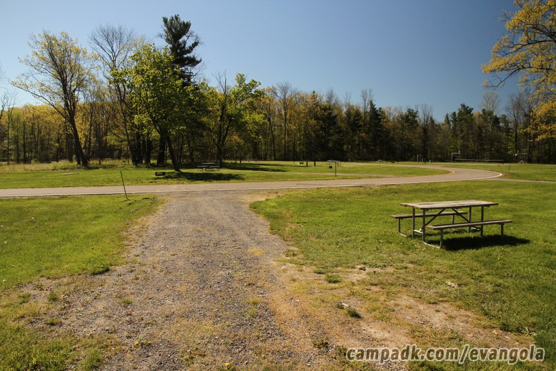 Campsite Photo of Site 37 at Evangola State Park, New York - Looking Back Towards Road