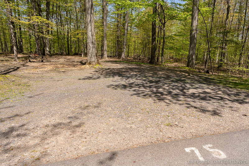 Campsite Photo of Site 75 at Fair Haven Beach State Park, New York - Looking at Site from Road Sign Visible