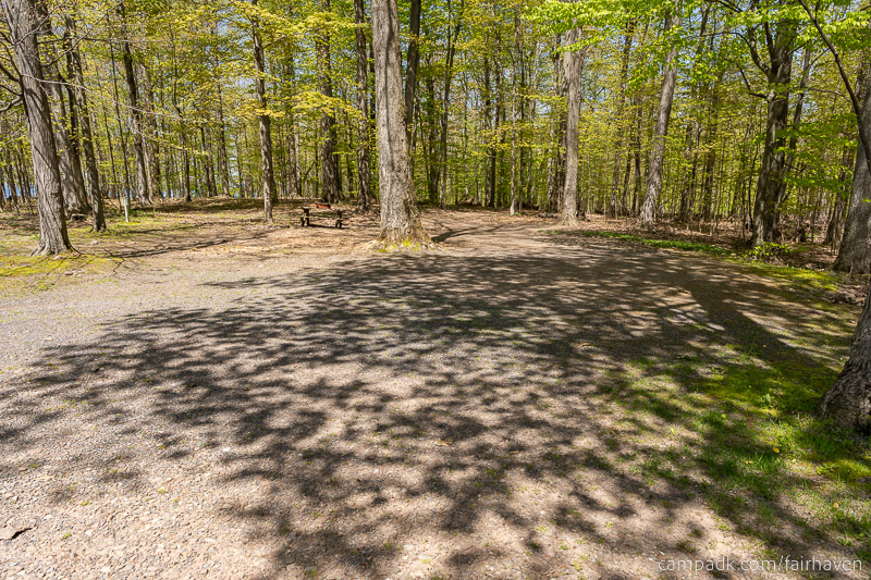 Campsite Photo of Site 75 at Fair Haven Beach State Park, New York - Looking at Site from Road