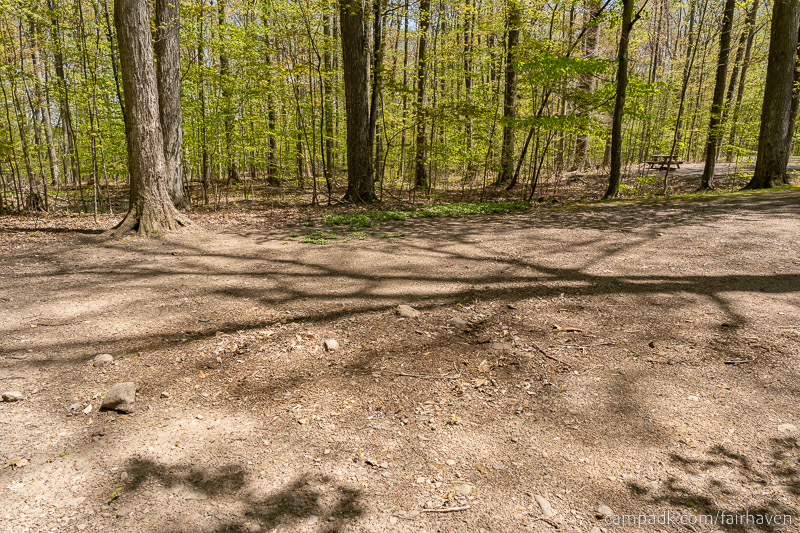 Campsite Photo of Site 75 at Fair Haven Beach State Park, New York - Cross Site View