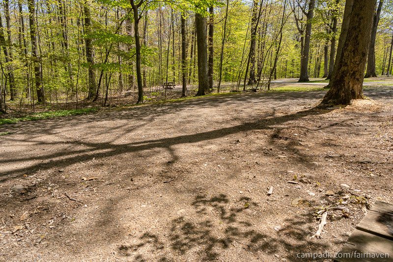 Campsite Photo of Site 75 at Fair Haven Beach State Park, New York - Cross Site View