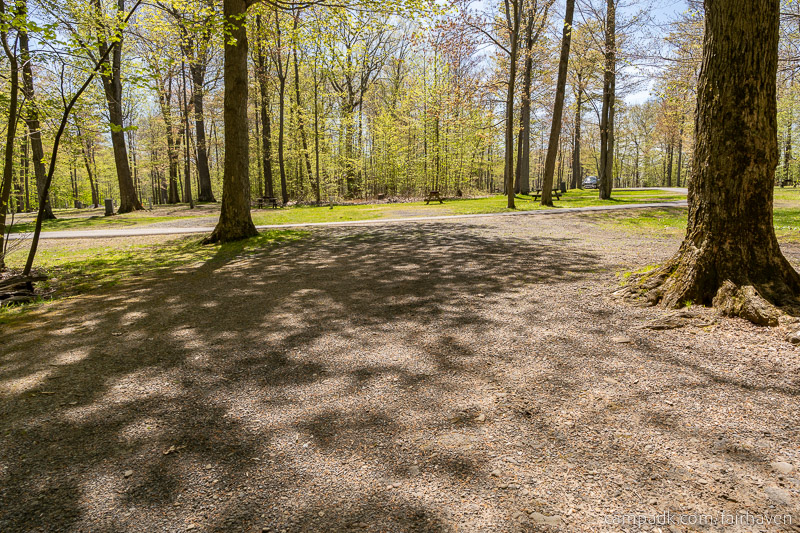 Campsite Photo of Site 75 at Fair Haven Beach State Park, New York - Looking Back Towards Road