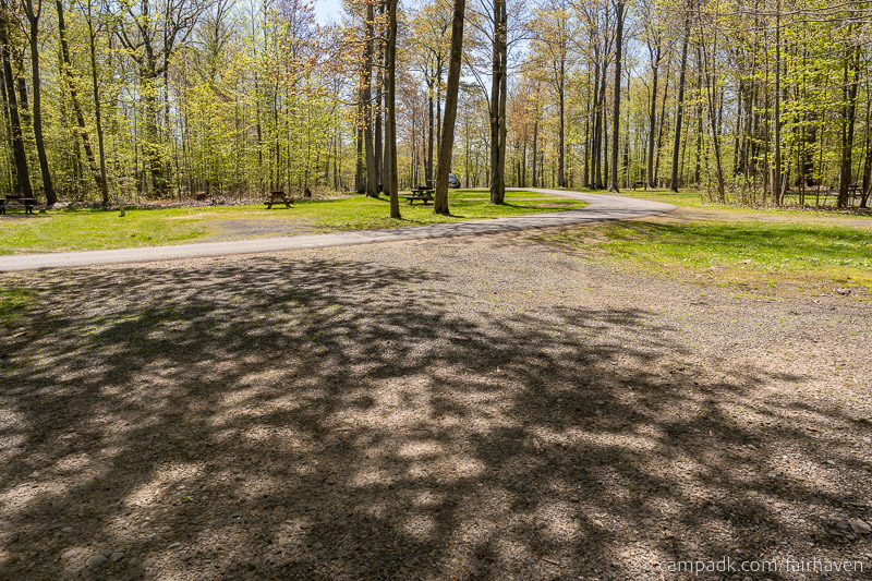 Campsite Photo of Site 75 at Fair Haven Beach State Park, New York - Looking Back Towards Road