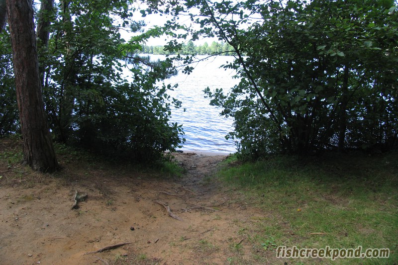 Campsite Photo of Site 1 at Fish Creek Pond Campground, New York - Shoreline