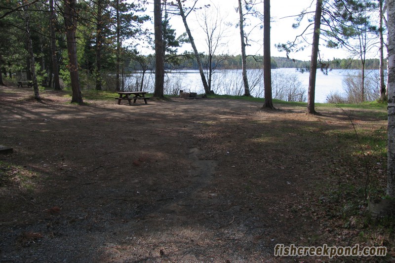 Campsite Photo of Site 46 at Fish Creek Pond Campground, New York - Looking at Site from Road