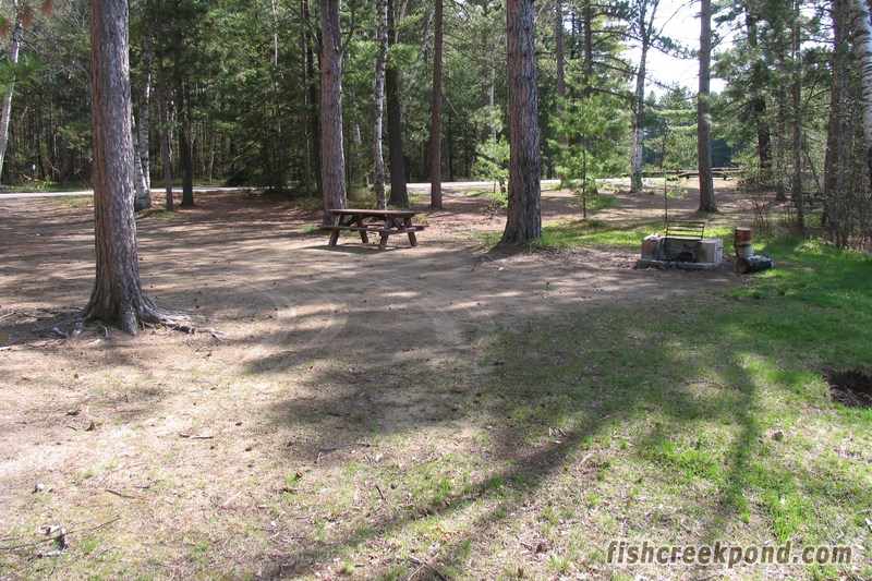Campsite Photo of Site 46 at Fish Creek Pond Campground, New York - Cross Site View