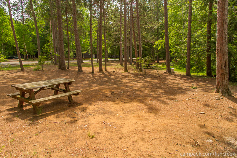 Campsite Photo of Site 1 at Fish Creek Pond Campground, New York - Cross Site View