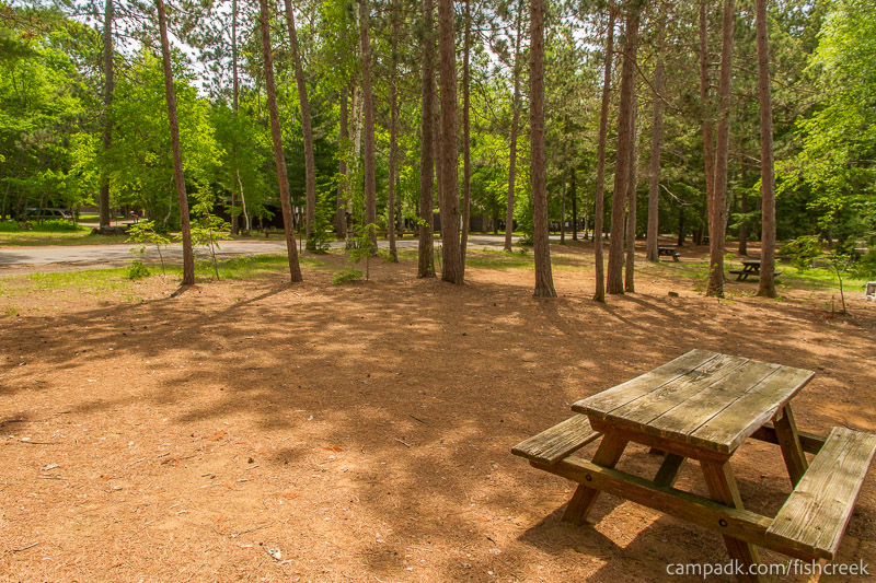 Campsite Photo of Site 1 at Fish Creek Pond Campground, New York - Cross Site View