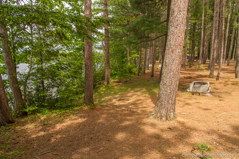 Campsite Photo of Site 1 at Fish Creek Pond Campground, New York - Cross Site View