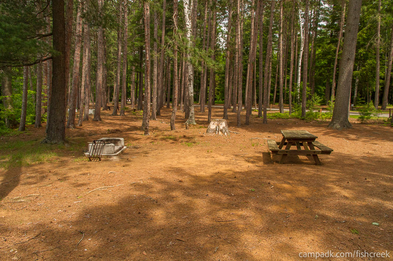 Campsite Photo of Site 1 at Fish Creek Pond Campground, New York - Cross Site View