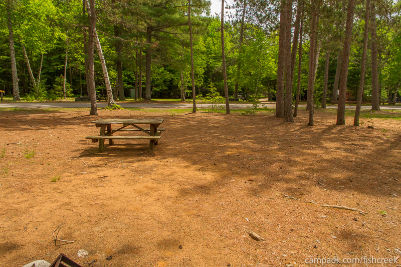 Campsite Photo of Site 1 at Fish Creek Pond Campground, New York - Looking Back Towards Road