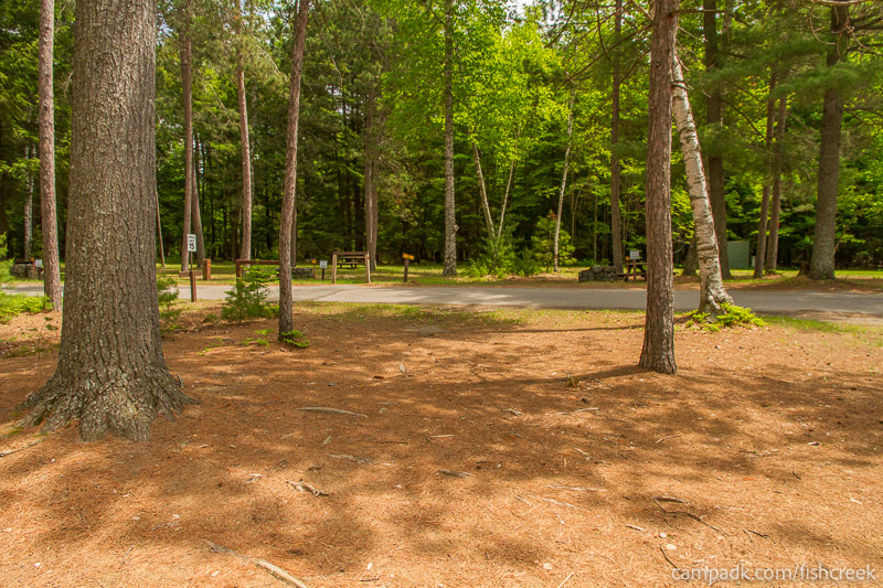 Campsite Photo of Site 1 at Fish Creek Pond Campground, New York - Looking Back Towards Road