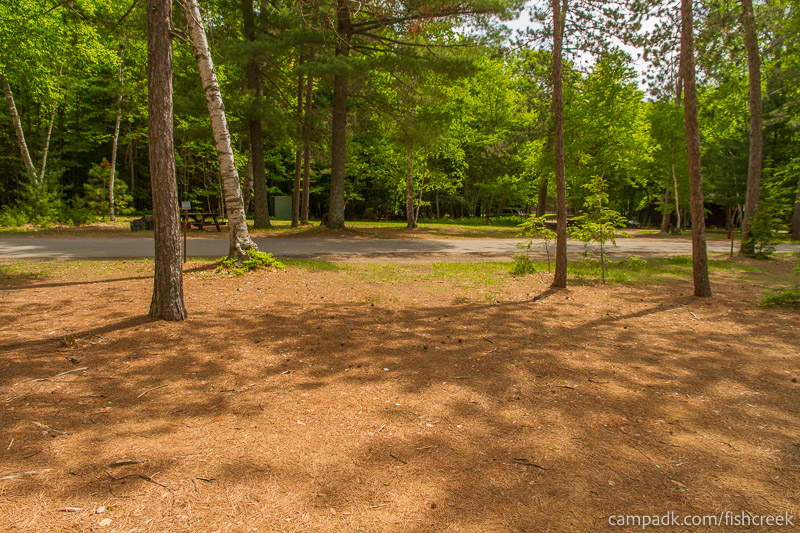 Campsite Photo of Site 1 at Fish Creek Pond Campground, New York - Looking Back Towards Road