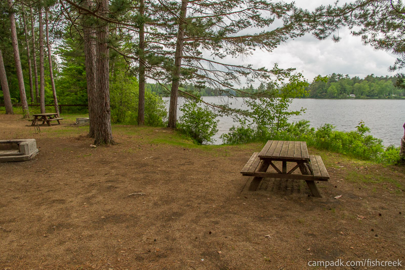 Campsite Photo of Site 1 at Fish Creek Pond Campground, New York - Cross Site View