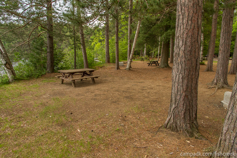 Campsite Photo of Site 1 at Fish Creek Pond Campground, New York - Cross Site View