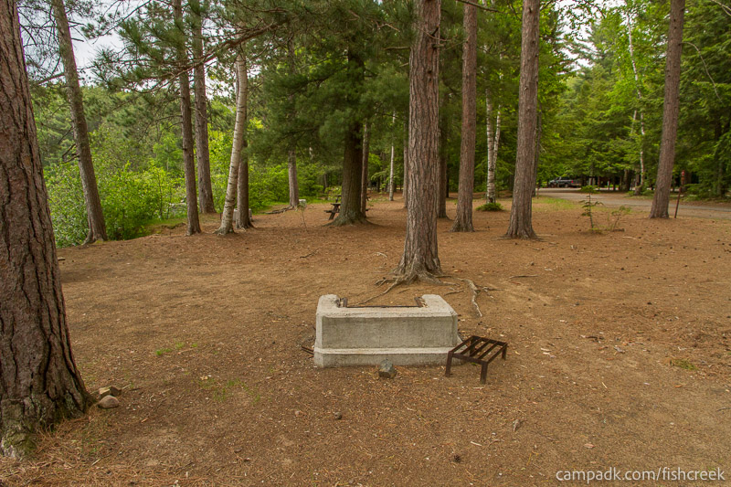 Campsite Photo of Site 1 at Fish Creek Pond Campground, New York - Cross Site View