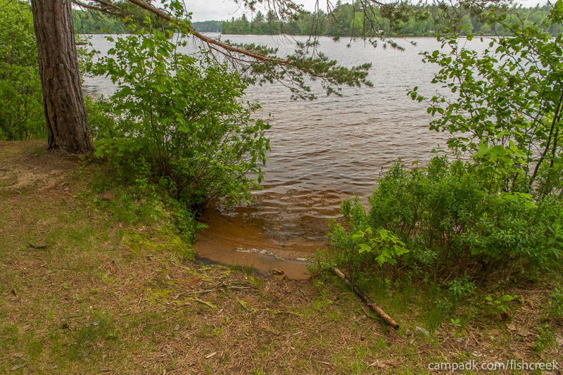 Campsite Photo of Site 1 at Fish Creek Pond Campground, New York - Shoreline